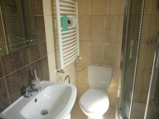 Ośrodek Wypoczynkowy Nad Stawem vis a vis Parku Zdrojowego z Tężnią Solankową - B&B Holiday Resort By The Lake - Erholungsheim Am See - Prázdninový dům U Jezera - Kudowa-Zdrój - 5