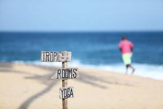 Tropical Garden - Tangalle - 1