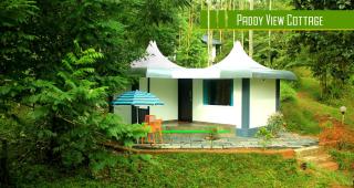 Vintage Garden Resort - Sultan Bathery - 8