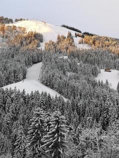 Apartment sZuahäusl - 1