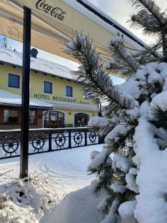 Hotel Admiral - Lipno nad Vltavou - 9