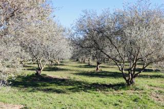 Terre Luberon - 3