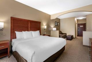Comfort Inn & Suites St Louis-O'Fallon - O'Fallon - 6