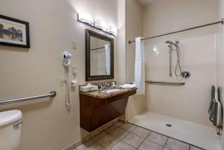 Comfort Inn & Suites St Louis-O'Fallon - O'Fallon - 2