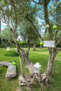 Grand Hotel Paestum - Paestum - 7
