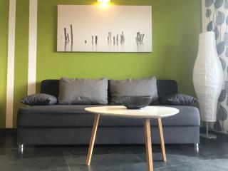 Ferienwohnung Haid Bodensee, Umgebung Bodman-Ludwigshafen, Radolfzell, Überlingen, Luxus FeWo Haid - Stockach - 8