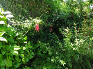 Complejo Cabañas Pétalos - 2