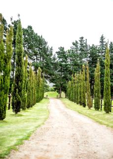 Hemel 'N Aarde Stud - Hermanus - 4
