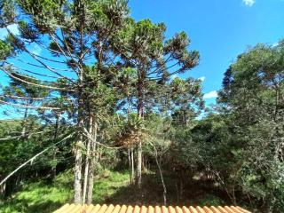 Cabana na Floresta Rincão do Fortaleza - Cambará - 5
