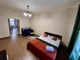 Old City Apartment with parking - Lviv - 6
