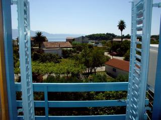 Apartment in Sucuraj with sea view, balcony, air conditioning, WiFi 3560-2 - Sućuraj (San Giorgio) - 2