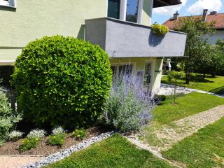 Apartma JERMAN - Cerknica - 6