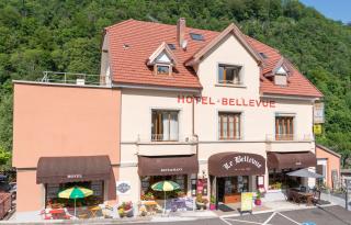 Hotel Le Bellevue - Saint-Hippolyte - 4