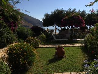 Waterside Apartments - Agia Effimia - 9