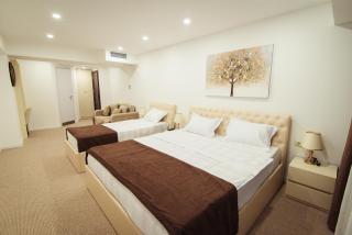 Royal Plaza Hotel - Tbilisi - 3