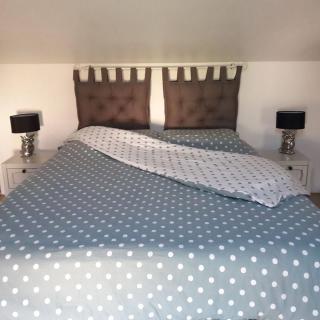 Le Nichoir Lac du Der - 0