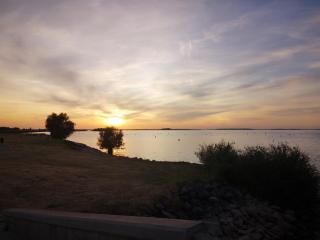 Le Nichoir Lac du Der - Droyes - 2
