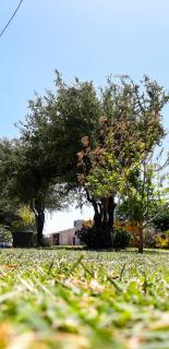 La Soñada - cabañas - Cruz del Eje - 4