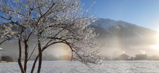 Apartment Fritsch - 8