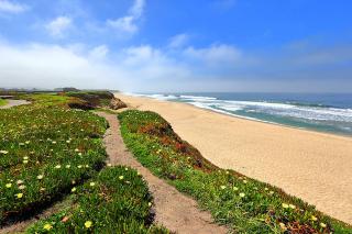 Beach Villa Home - Walk to Beaches Trails Restaurants Activities & more - 8