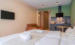 New Gudauri Redco Twins Hotel Twin or Double room #316 - Gudauri - 3
