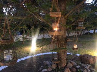 Villa Anastasia! in STROFYLIA pine FOREST!!! - 6