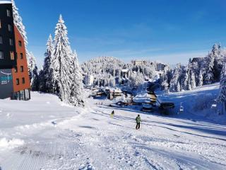 Jahorina apartmani Dvosjed - 9