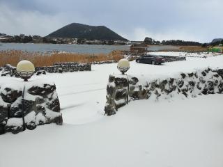 새야새야펜션 - Jeju - 9