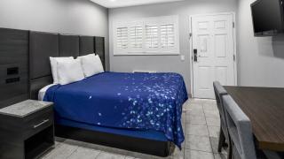 Scandia Motel - Carlsbad - 1