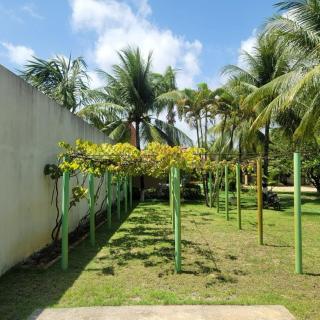 Casa Privada - Cantinho das Borboletas, - em Barra Grande, Maragogi, AL - Maragogi - 5