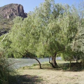 Cabaña La Verdicchio Urbanización Cristobal Lote 2 - 3