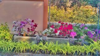 Elegancy Resort Hua Hin - 5