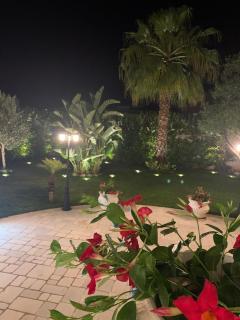 B&B Palma Salentina - Lizzano - 7