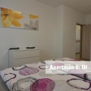 Apartmány U koupaliště - 1