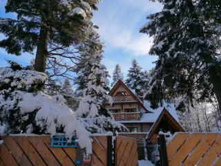 Willa Mitia - Zakopane - 1