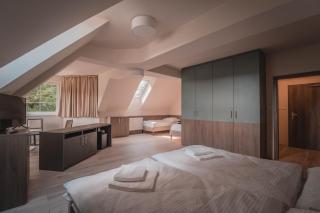 Wellness Penzión Smerdžonka - KÚPELE PIENINY - 4