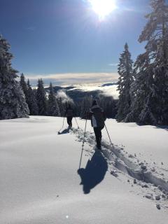Apartments im Almhaus Bachler - 5