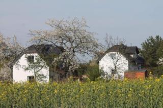 Domek w Białej - Mak - Marcinowice - 3
