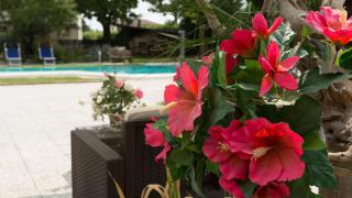 Villa Berrettini - Marano Vicentino - 5