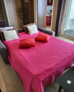 T2 classé 4 étoiles avec jardin, piscine, vue mer à Saint-Gilles-les-Bains - Saint-Gilles-les-Bains - 4