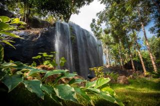 The Viber Yercaud- villa with waterfalls - Yercaud - 0