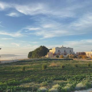 Masseria Fontana di Vite - 2
