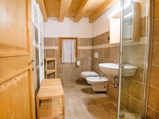 Apartment Albergo Diffuso - Cjasa de Barce-1 by Interhome - Barcis - 4