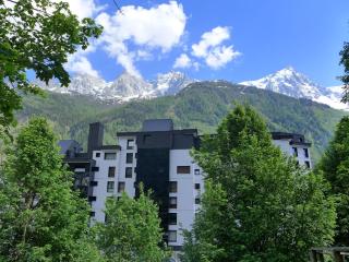 Apartment L'Outa by Interhome - Chamonix - 2