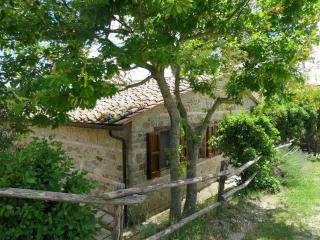 Holiday Home Paradiso Selvaggio-2 by Interhome - Paciano - 3