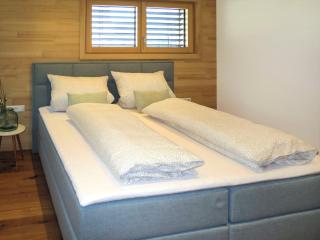 Apartment Kinast - HFT201 by Interhome - Hofstetten - 1