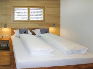 Apartment Kinast - HFT202 by Interhome - Hofstetten - 1