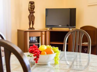Apartment Stana-1 by Interhome - Diklo - 6