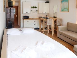 Studio Rosablanche D12 by Interhome - 1