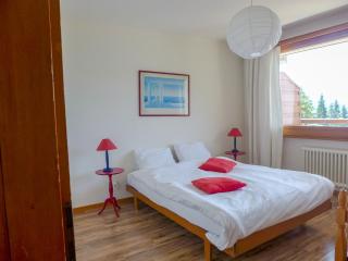 Apartment Bruyères A32 by Interhome - Verbier - 8